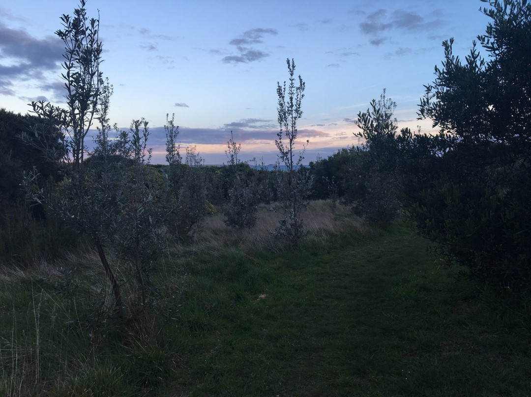 Shoreham Beach景点图片