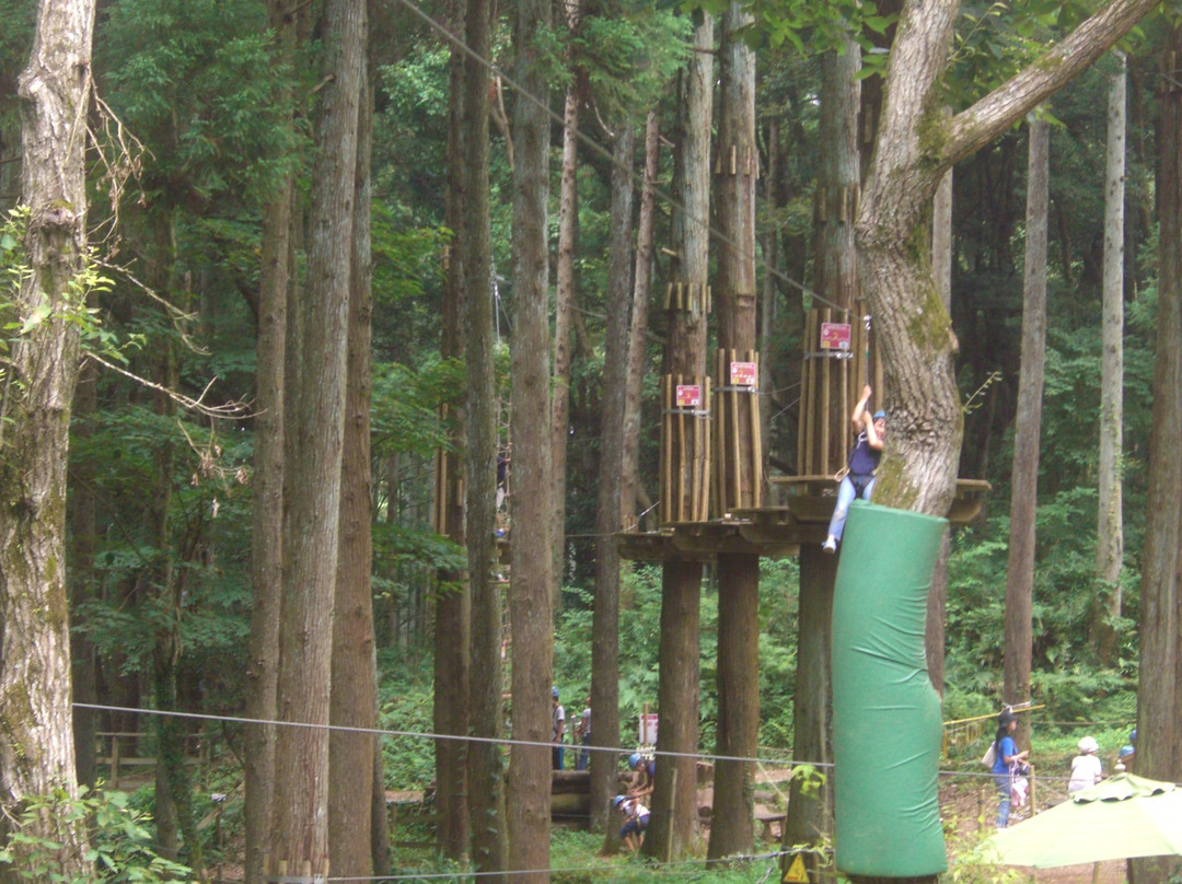 Forest Adventure Tarzania-长柄町必去景点