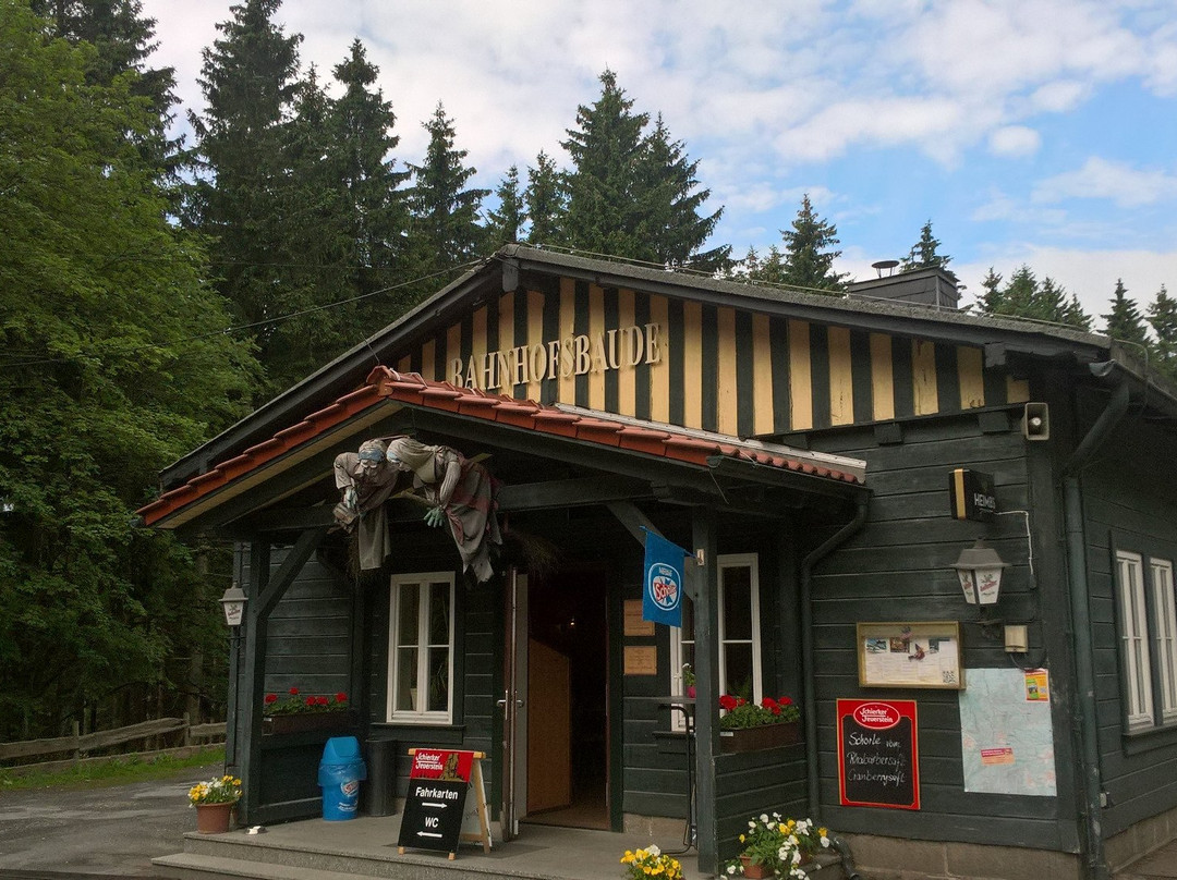 Comfort-Hotel Garni Schierker Waldperle - Inklusive Wellness