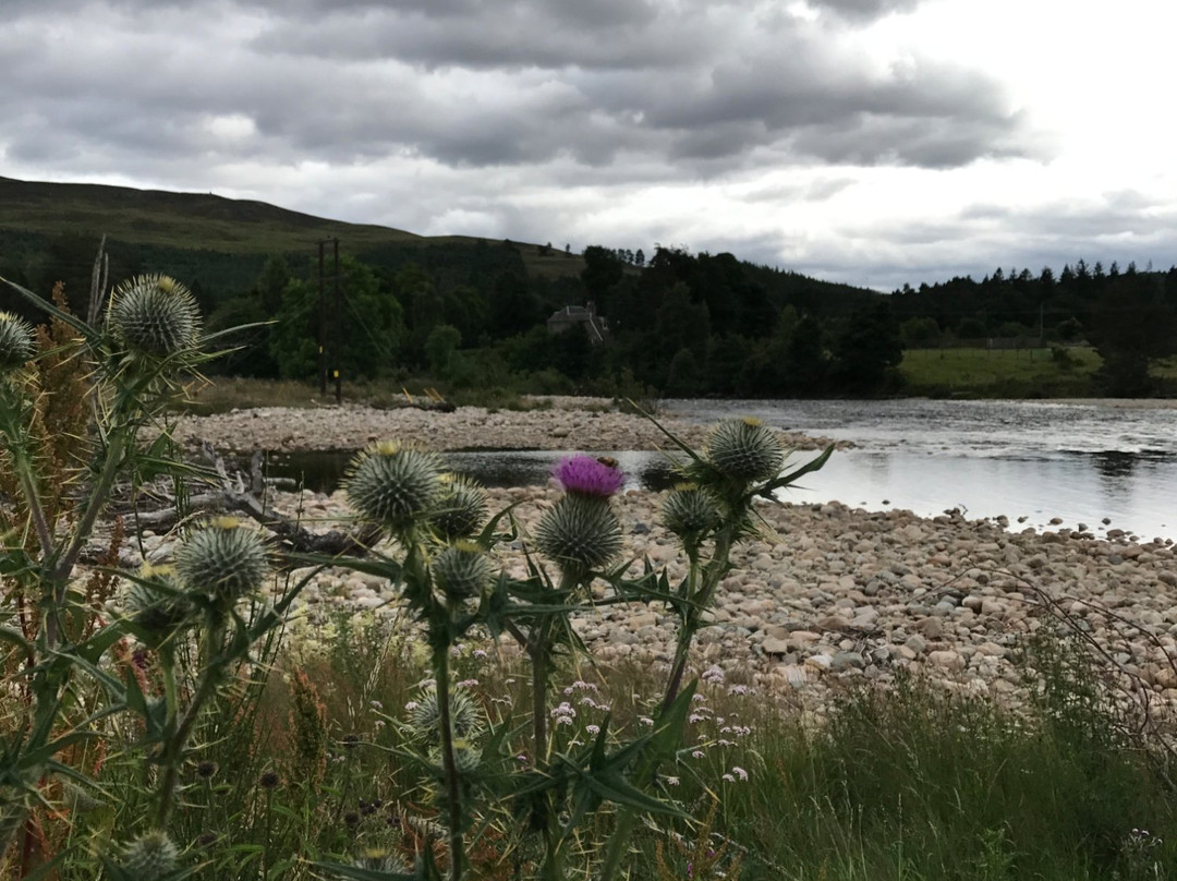 Ballater Caravan Park