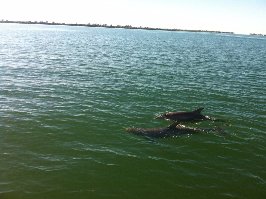 New Moon Sailing-俘虏岛必去景点