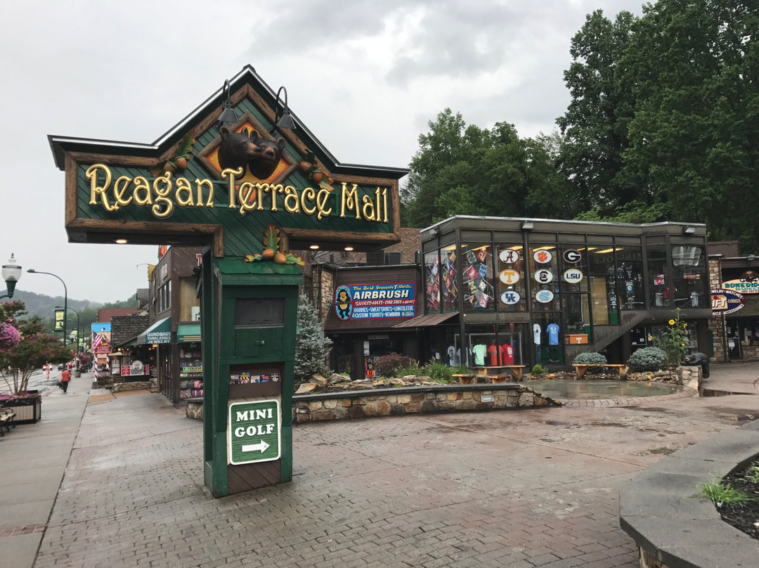 Reagan Terrace Mall-盖林柏格必去景点