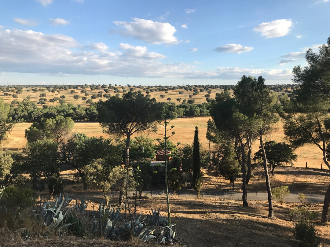Castillo de Soto de Vinuelas-Tres Cantos必去景点