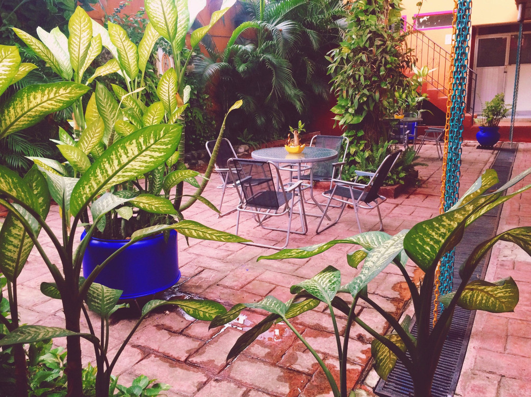 Real Cacao Hotel主图