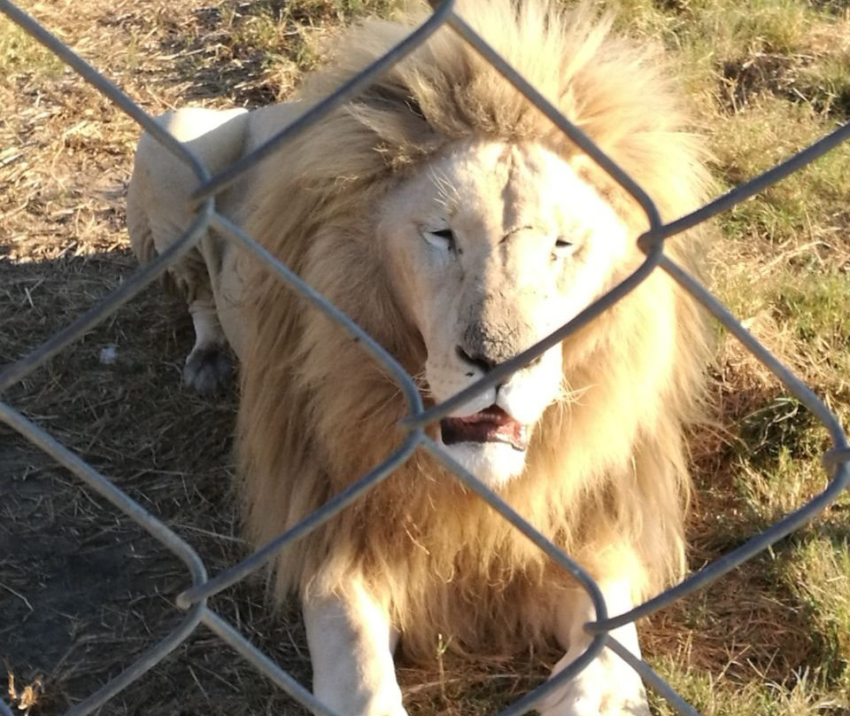 Caesar's Bush Palace-瓦尔沃特必去景点