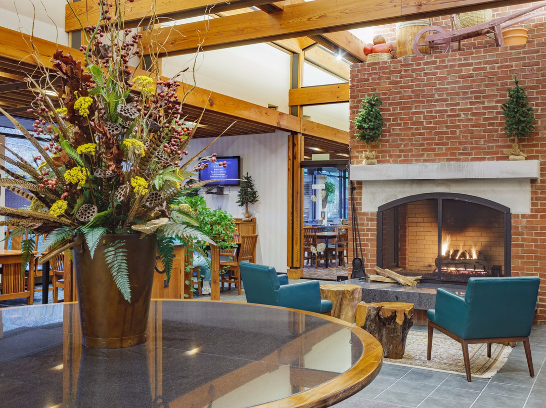 威廉斯堡殖民地区伍德兰套房酒店