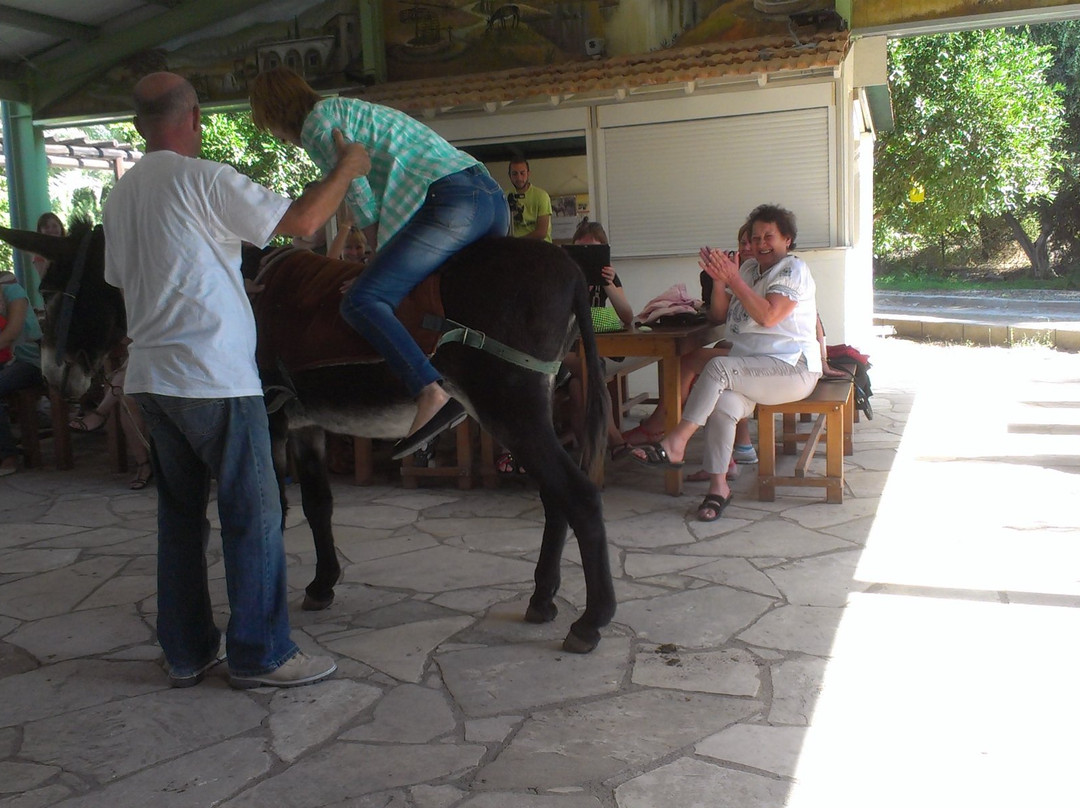 Dipotamos Donkey Farm景点图片