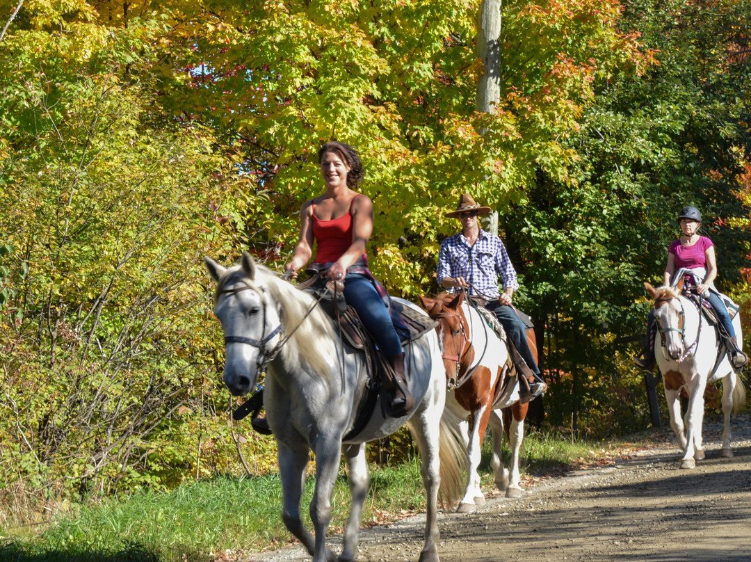 Centre Equestre Le Vent du Sud-Piopolis必去景点