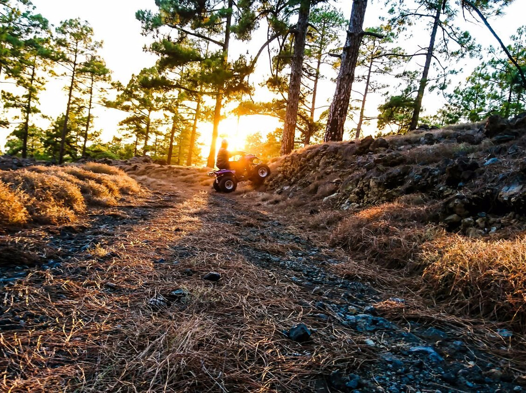 Quad Trip Tenerife景点图片