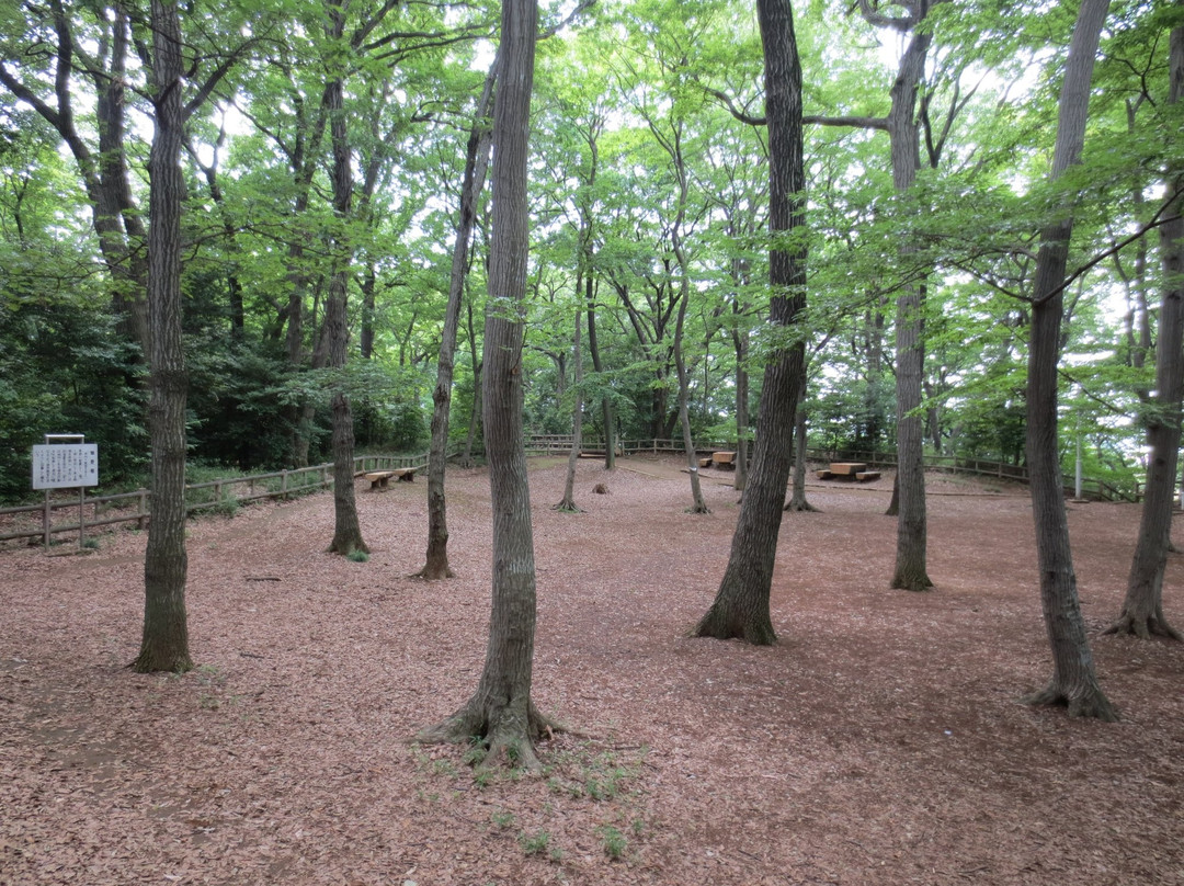 Shiroyama Park-朝霞市必去景点