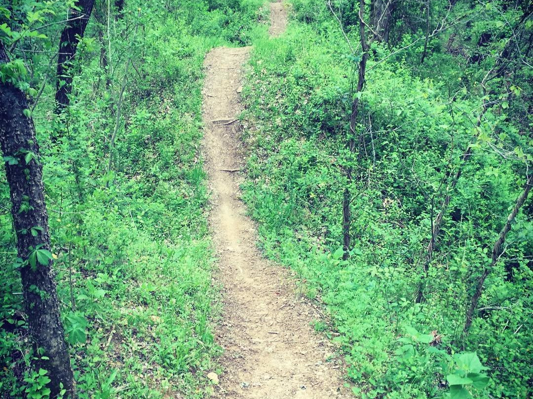 Chickasaw Trace County Park-哥伦比亚必去景点