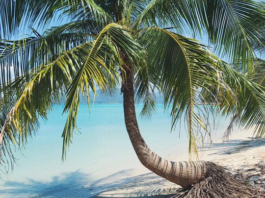 苏梅岛旅行社-苏梅岛必去景点