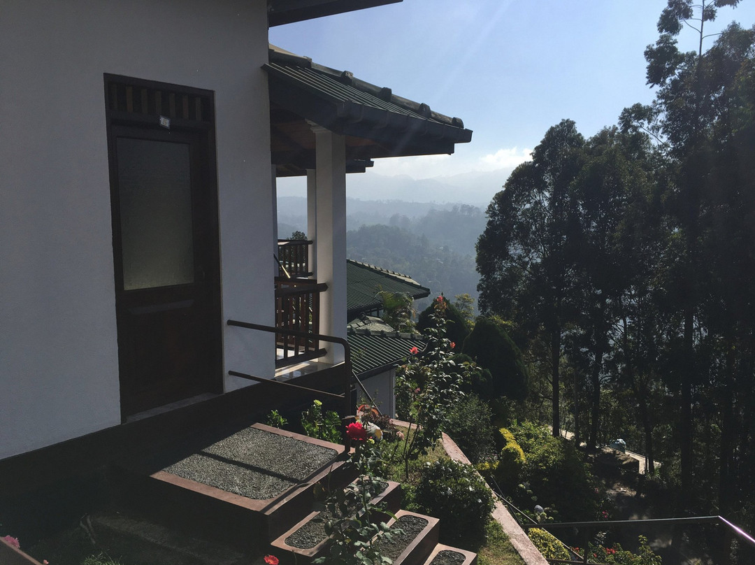 Sky Green Resort