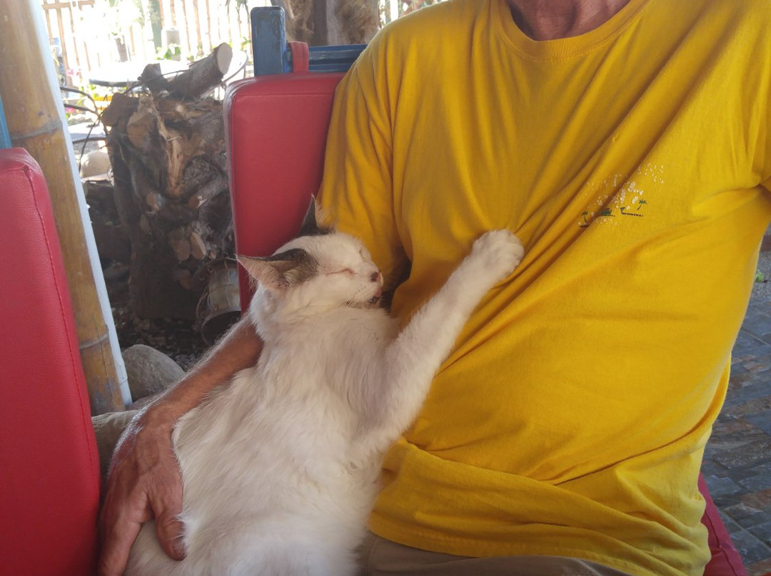 Donkey Den Guesthouse主图