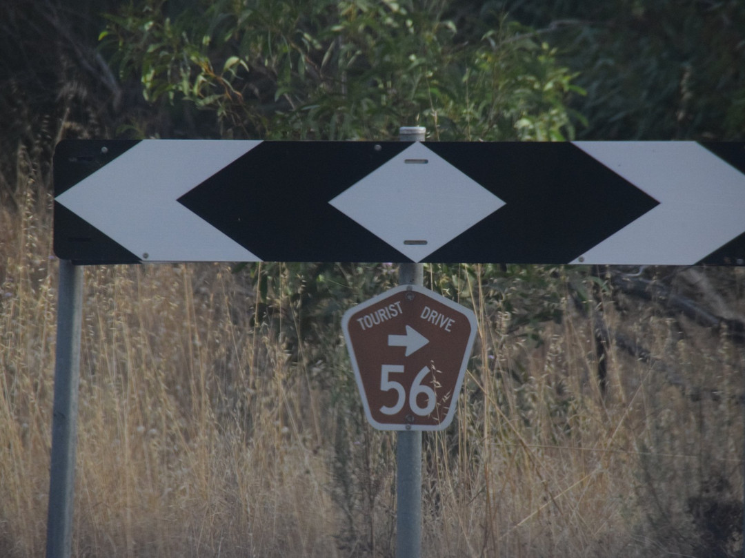 Tourist Drive 56-维克多港必去景点