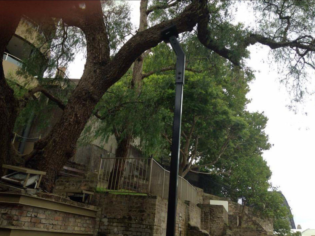 Foundation Park-悉尼必去景点