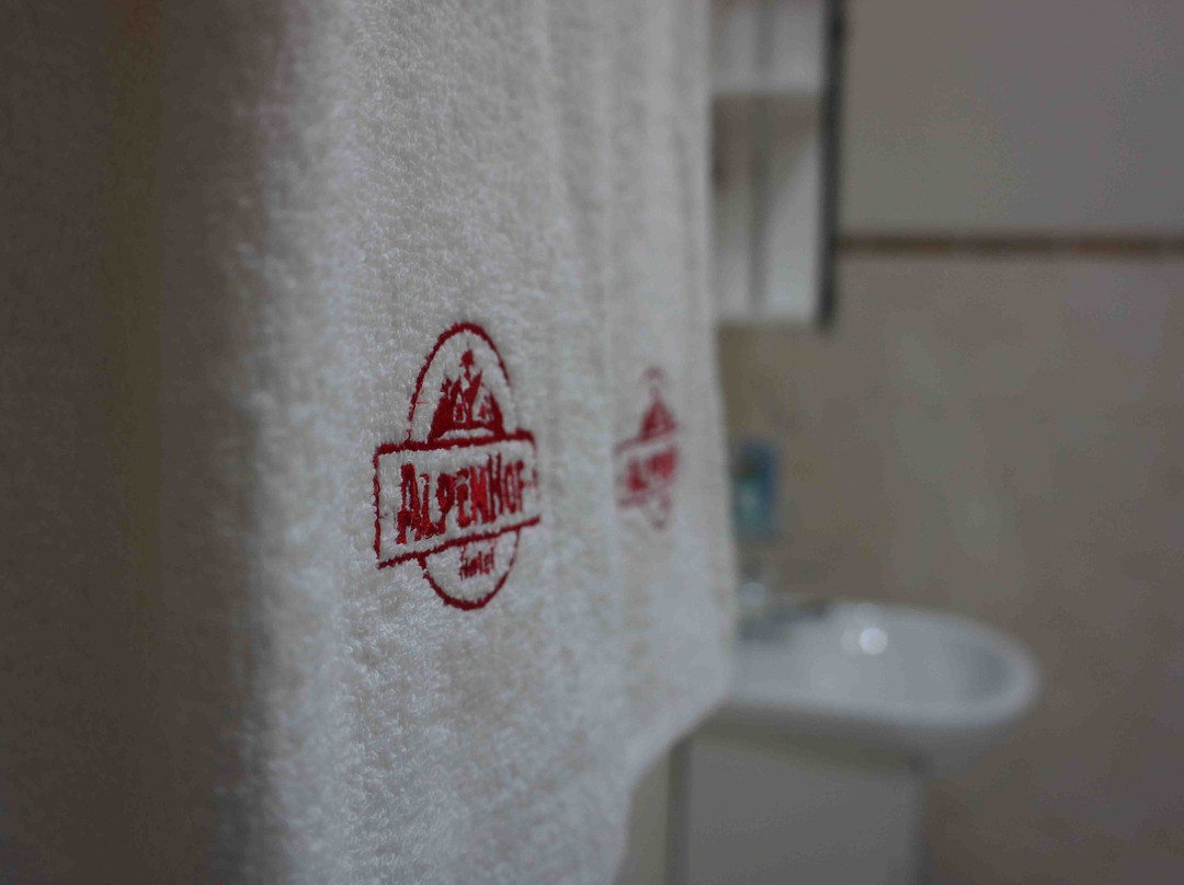 AlpenHof Hotel主图