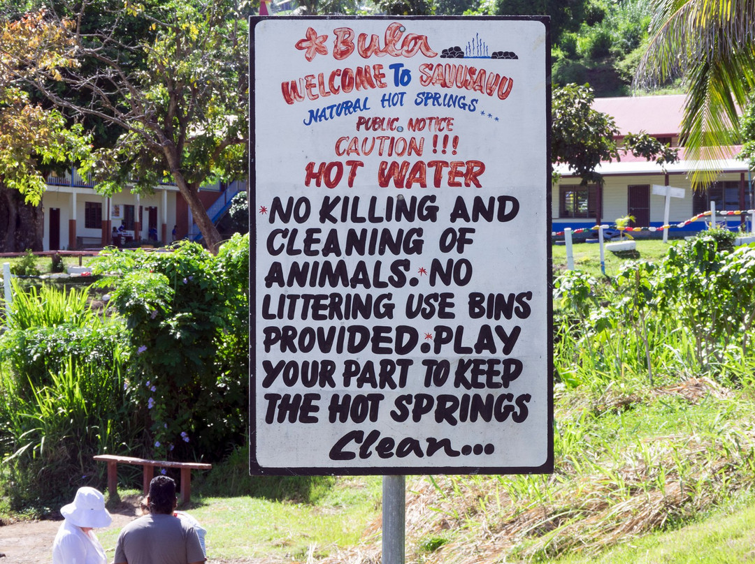 Savusavu Hot Springs景点图片