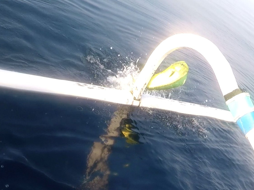 Sasa Tours-Bunutan必去景点