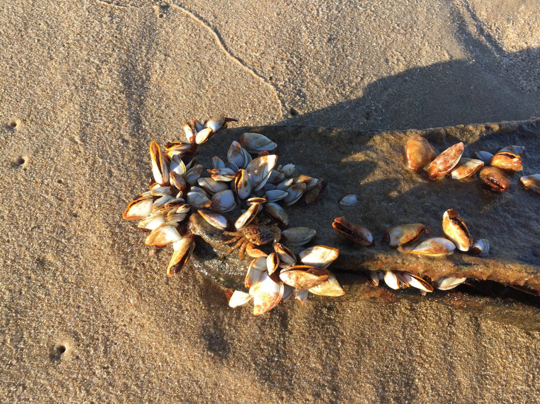 Barra Beach-伊尼扬巴内省必去景点