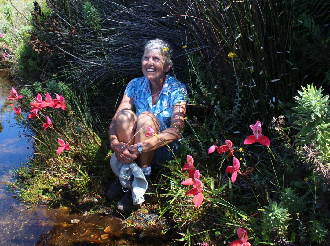 Slackpacker SA-Kenilworth必去景点