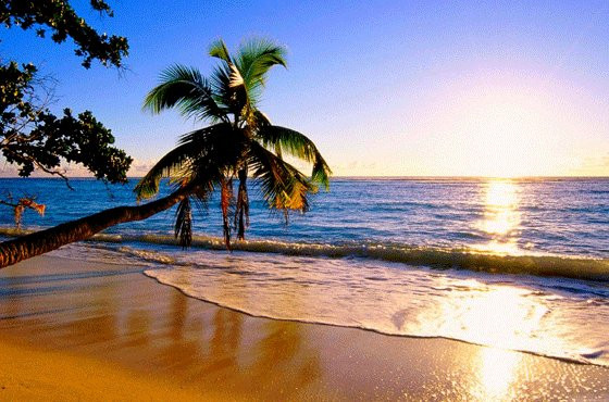 Comfort Travel & Tours-科伦坡必去景点