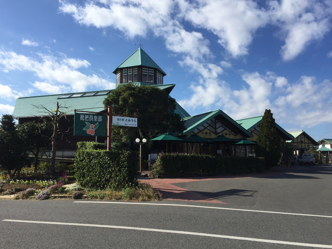 Boso Flower Line-馆山市必去景点