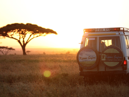 Kipori Safari