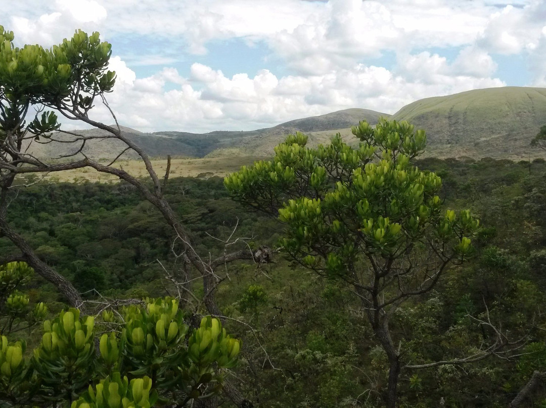 Parque Ecologico Quedas do Rio Bonito景点图片