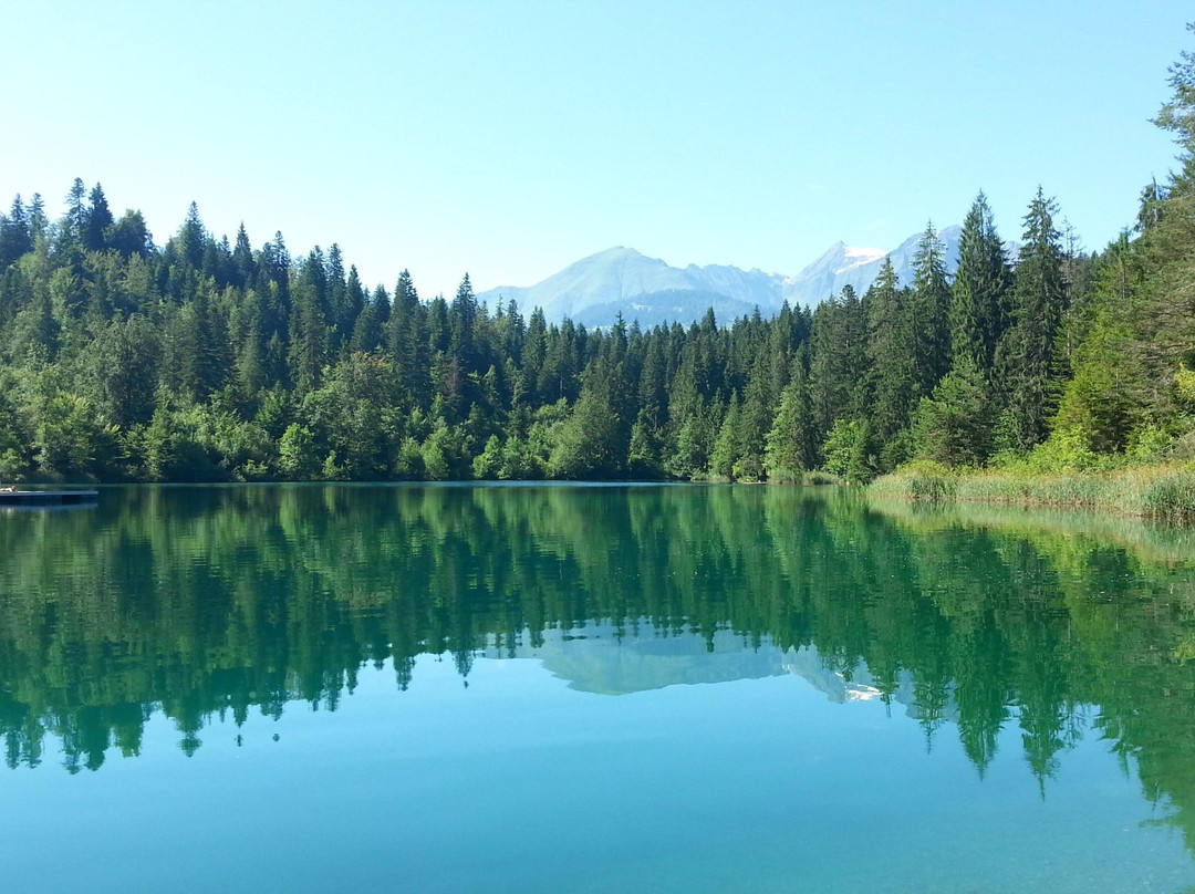 Lake Cresta景点图片