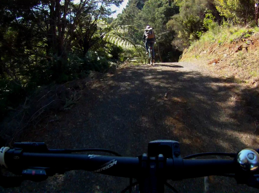 Pauanui Trail景点图片