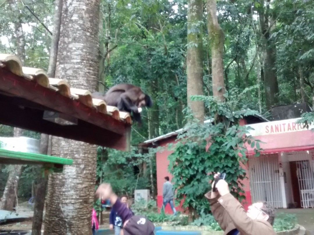 Fonte Vilela-Aguas da Prata必去景点