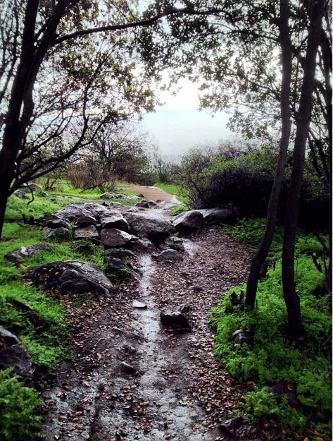 Panul Parque Publico Comunitario-La Florida必去景点