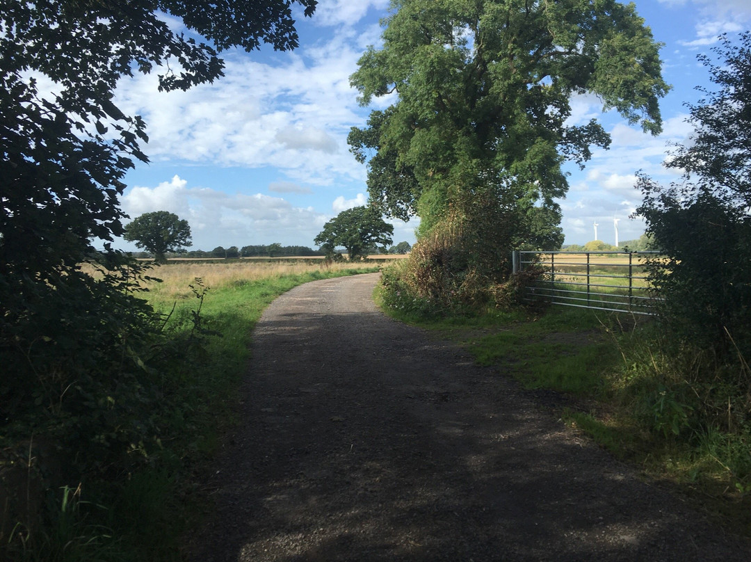 Mawdesley Jubilee Trail景点图片