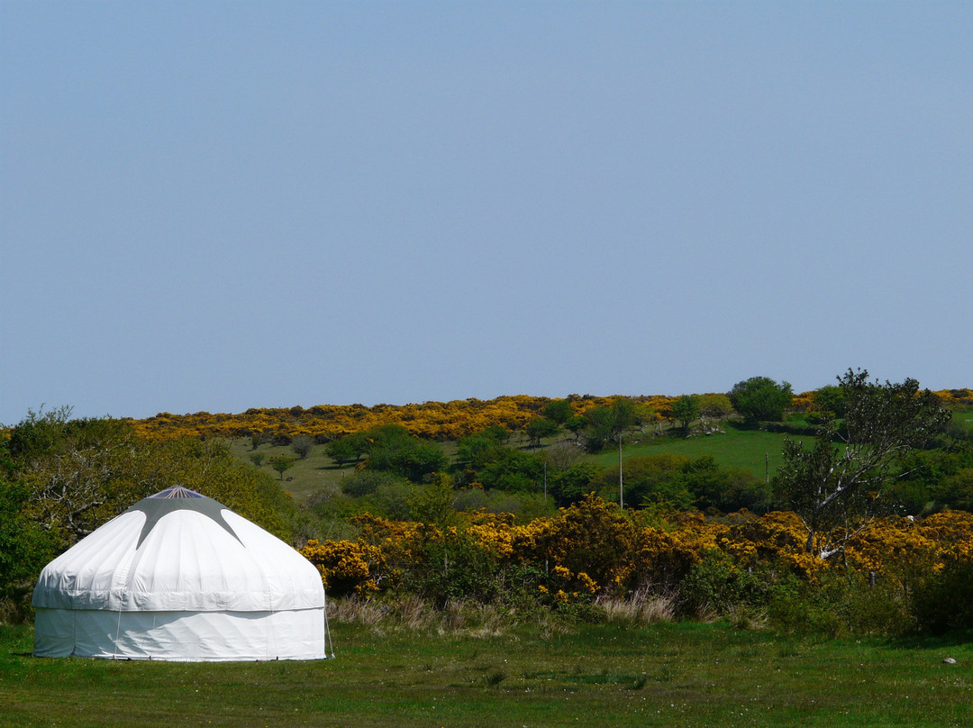 South Penquite Farm
