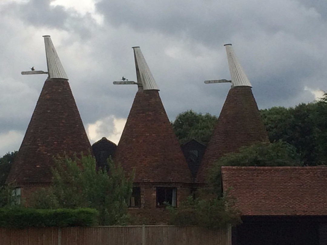 Downingbury Farm景点图片