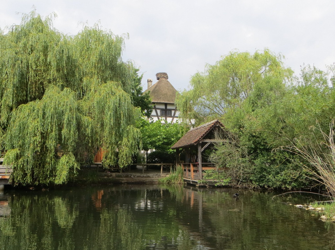 Parc Attractions Haut Rhin-科尔马必去景点