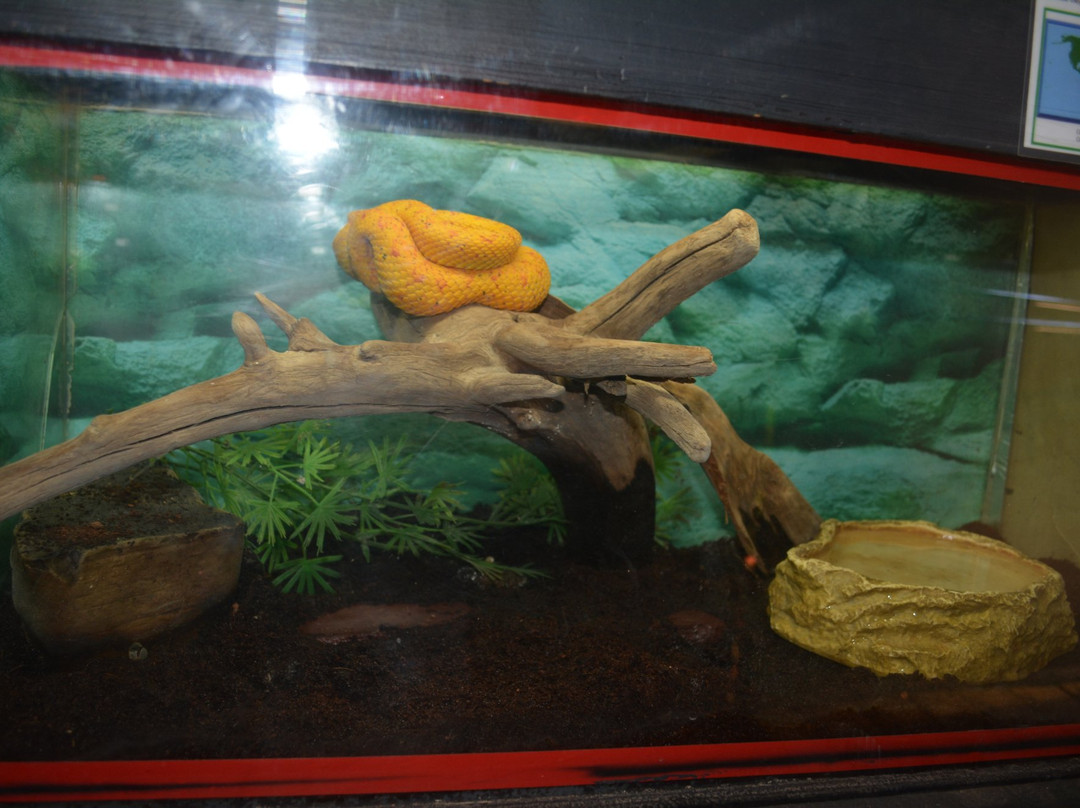 Exotarium: Ferme de Reptiles-Saint-Eustache必去景点