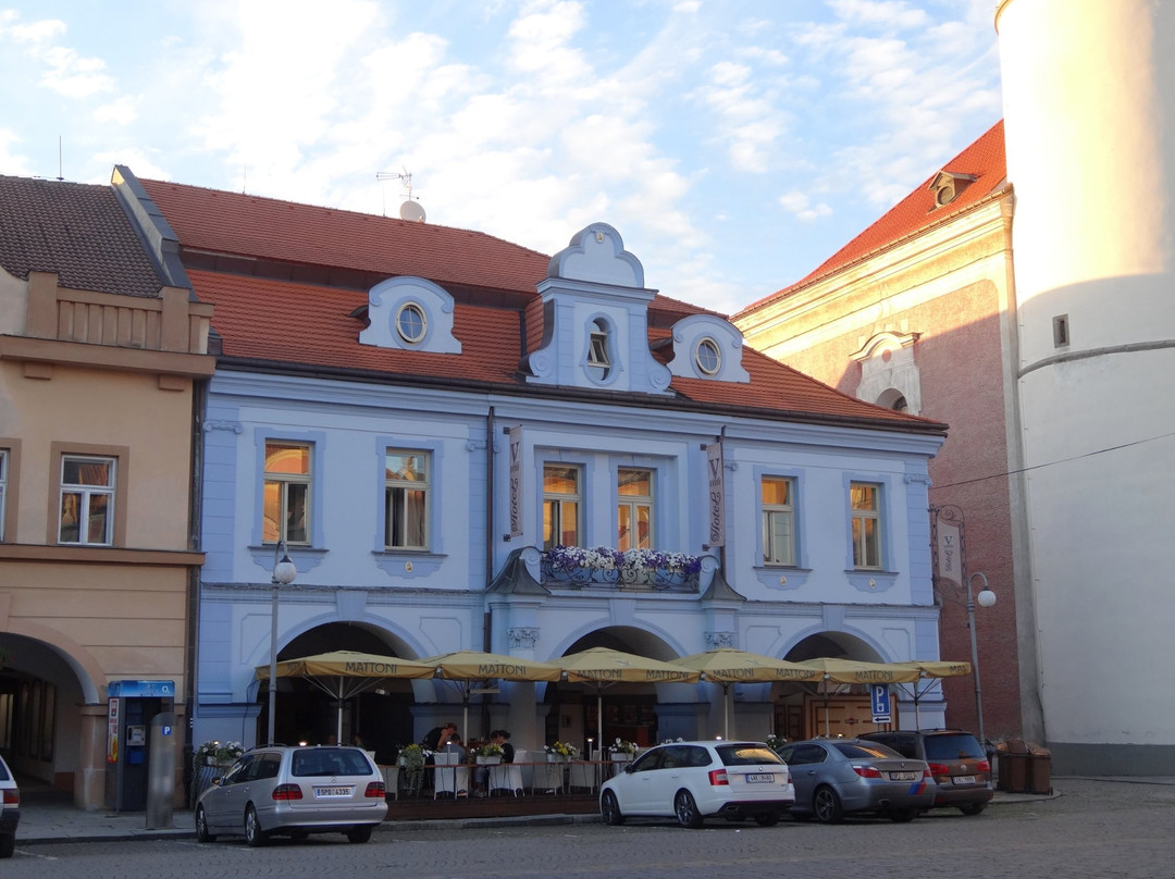 Hotel Zlata Vcela主图
