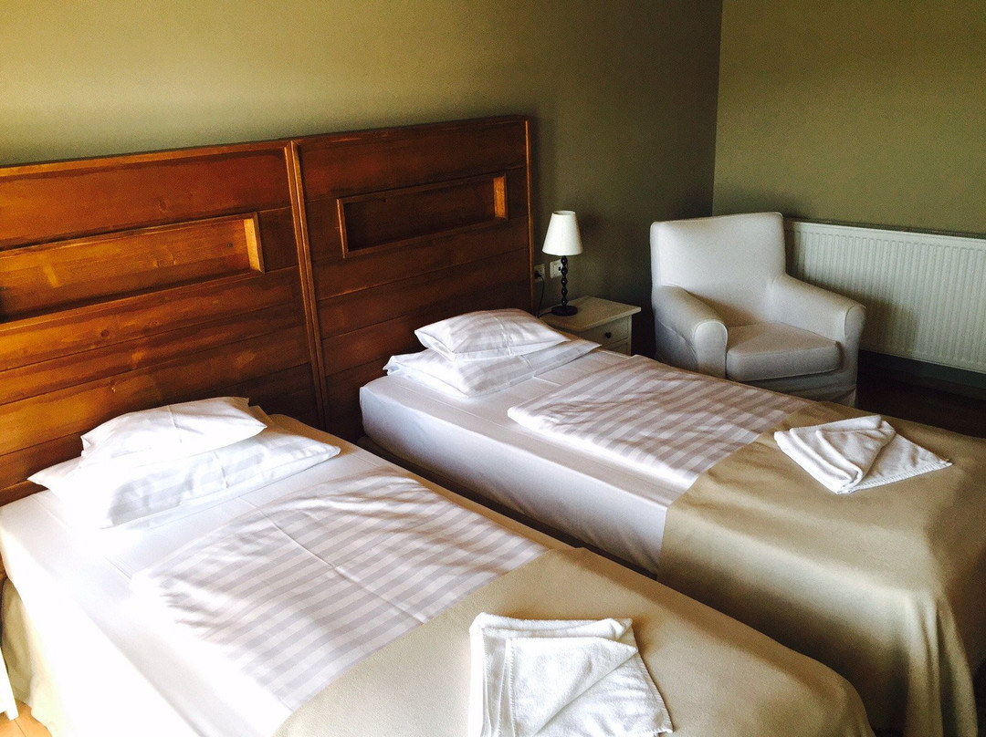 Bucovina Lodge Pension