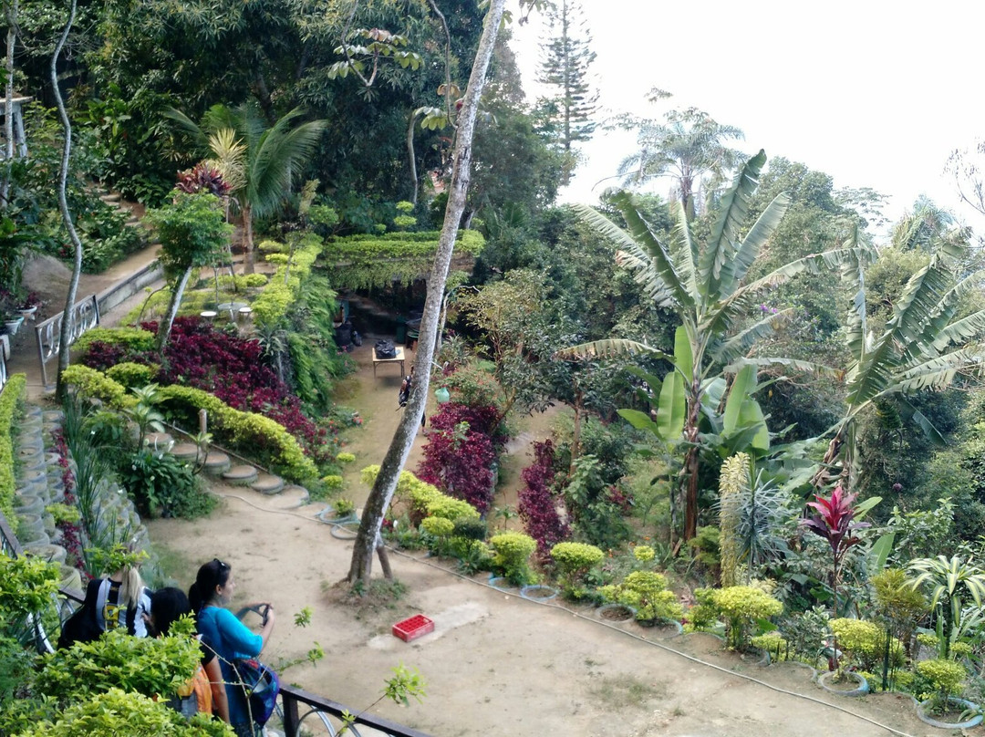 Parque e Instituto Sitiê-里约热内卢必去景点