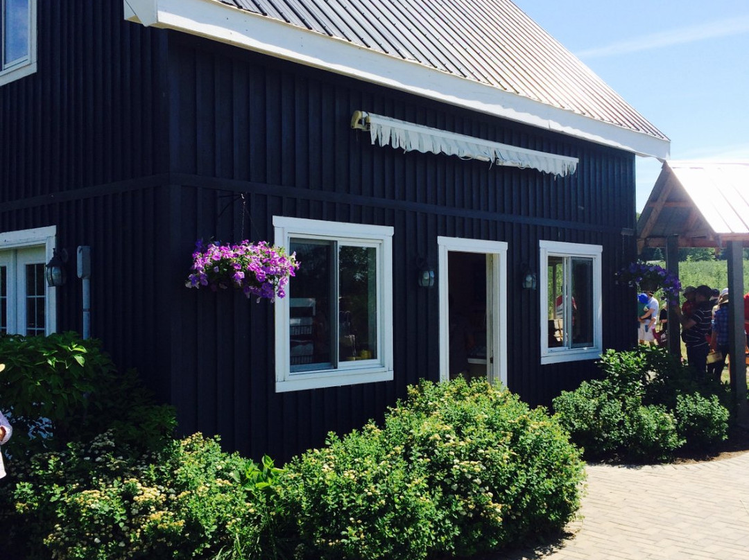 Organics Family Farm-万锦市必去景点