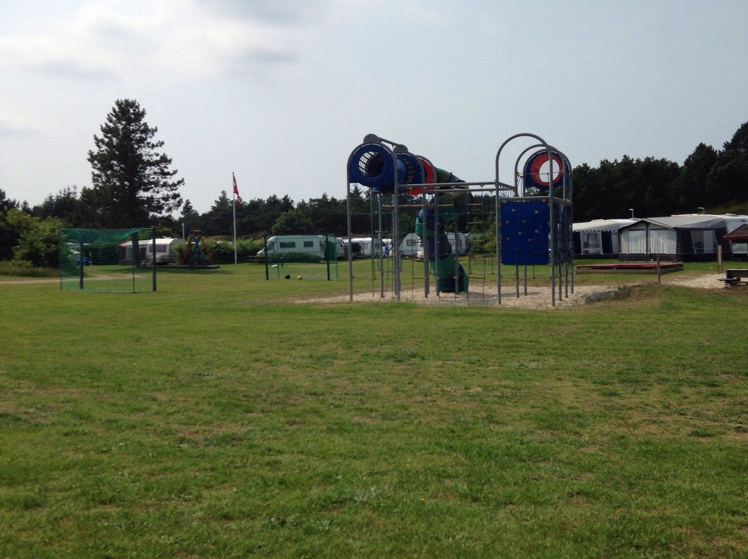 Lyngboparken Camping