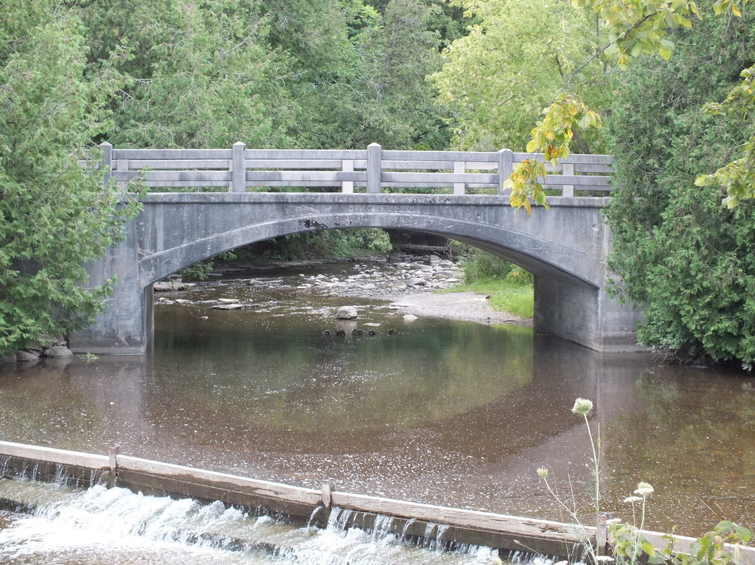 Jackson Park-彼得伯勒必去景点