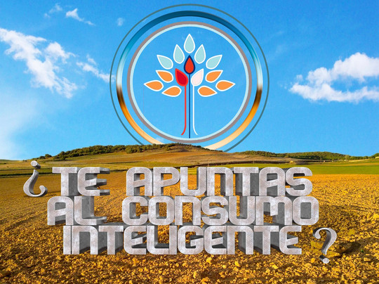 Luz & Tierra-马拉加必去景点