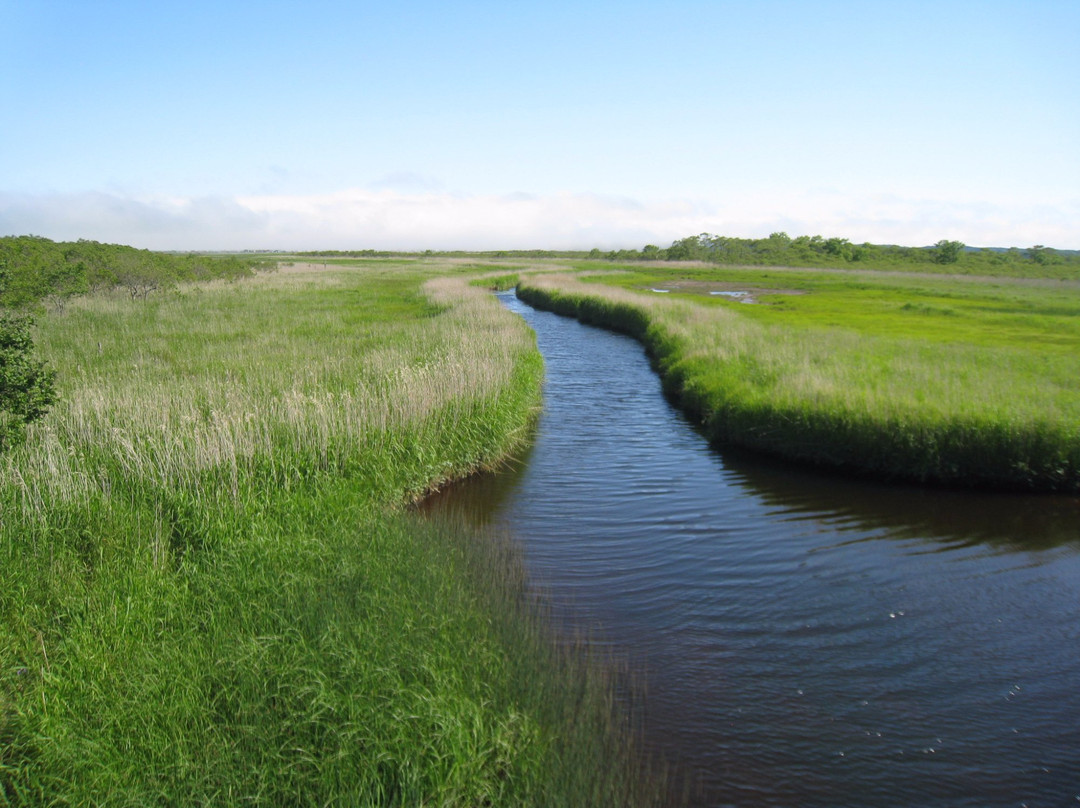 甘地路-滨中町必去景点