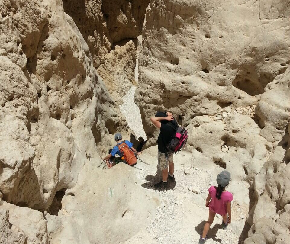 Nahal Tamar-死海地区必去景点