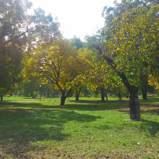 Park Orekhovaya Roshha景点图片