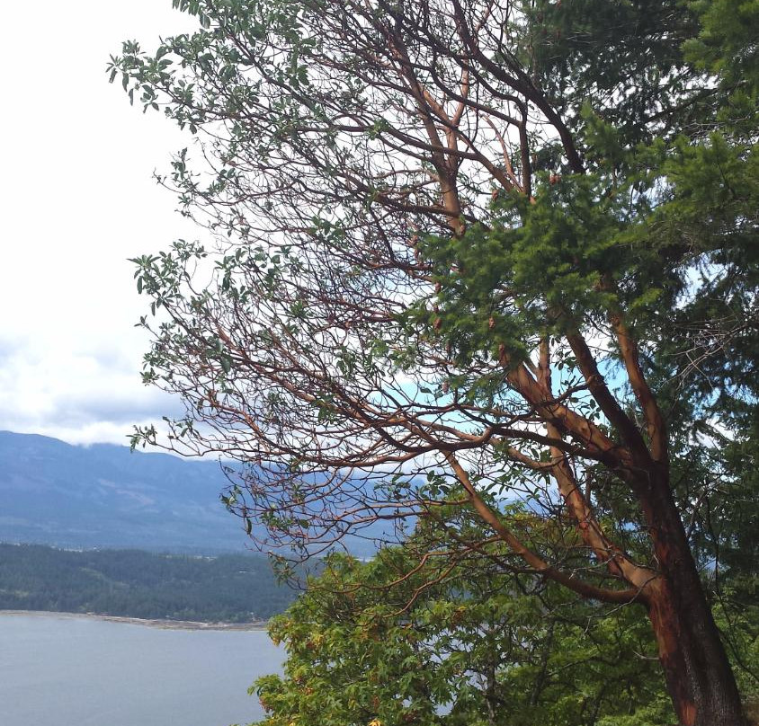 Mount Geoffrey Escarpment Provincial Park景点图片