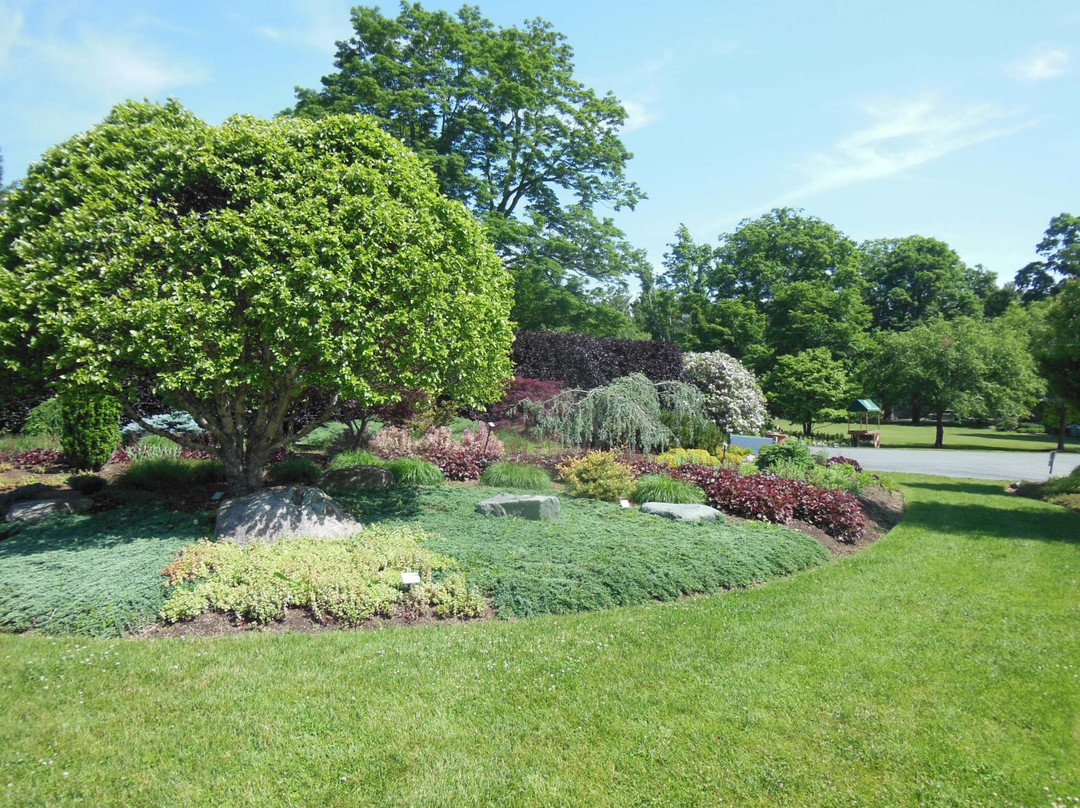 Massachusetts Horticultural Society's Garden at Elm Bank景点图片